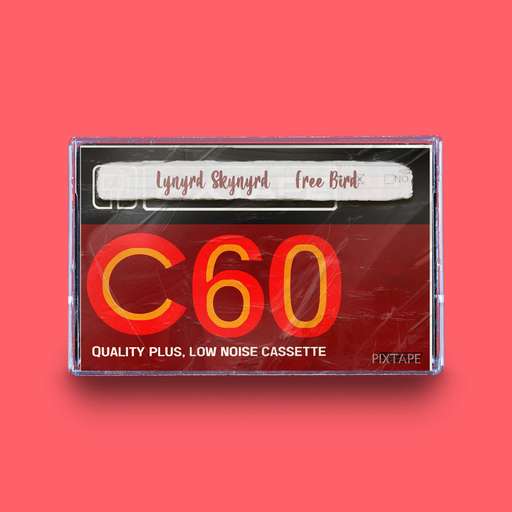 00446